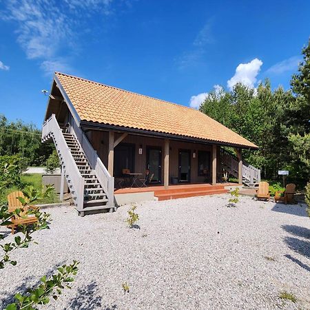 Hotel Oberza Pod Zlotym Prosiakiem Nieborów Esterno foto