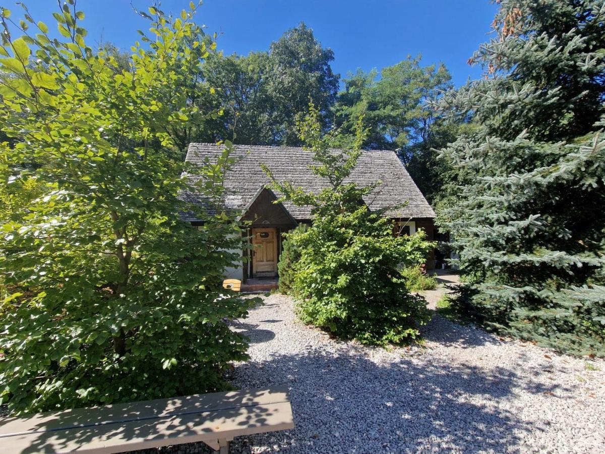 Hotel Oberza Pod Zlotym Prosiakiem Nieborów Esterno foto