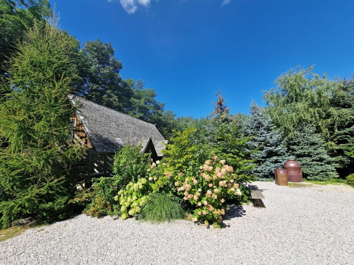 Hotel Oberza Pod Zlotym Prosiakiem Nieborów Esterno foto