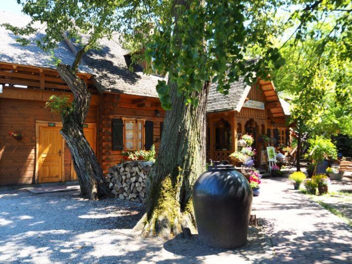 Hotel Oberza Pod Zlotym Prosiakiem Nieborów Esterno foto